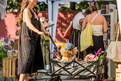 tim_dechent_veranstaltungsfotografie_designmarkt_benu_grugaparkt_2024-102