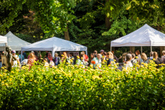 tim_dechent_veranstaltungsfotografie_designmarkt_benu_grugaparkt_2024-55